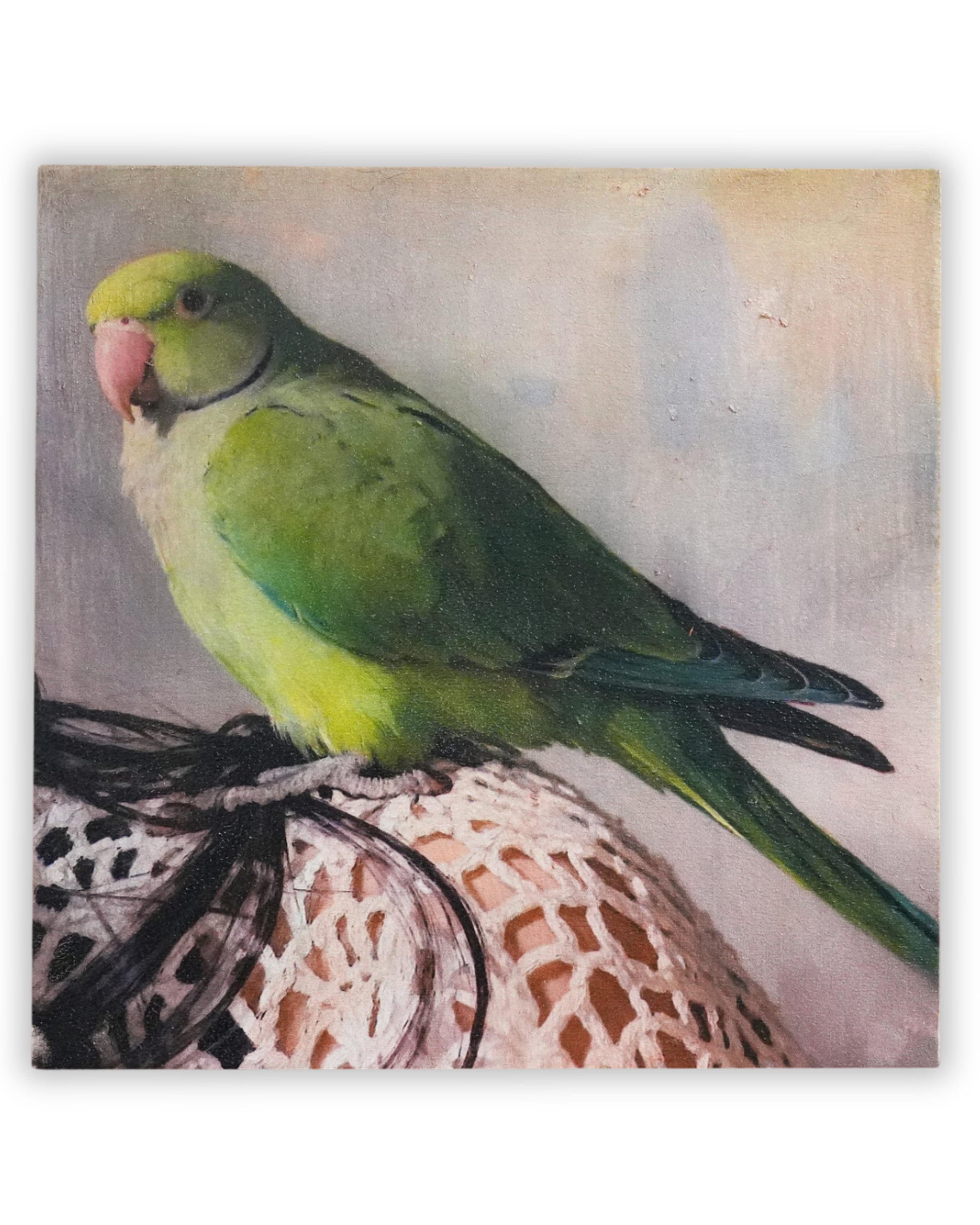 parrot oil painting